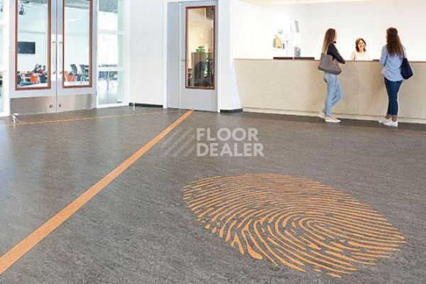 Линолеум Marmoleum Decibel on Order 317435 Sahara фото 1 | FLOORDEALER